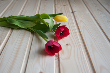 Similar image 7685051