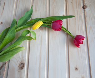 Similar image 7685053