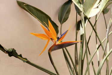 Similar image 7685061