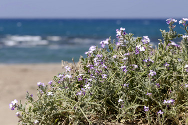 Similar image 7685068