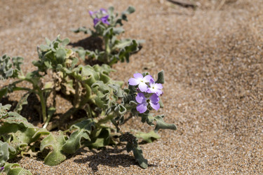 Similar image 7685069