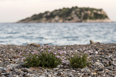 Similar image 7685071