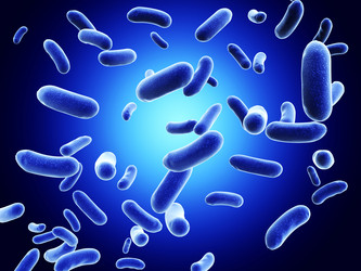 Similar image 7685106