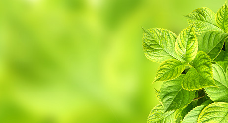 Similar image 7685113