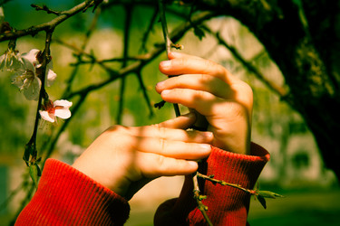 Similar image 7685232