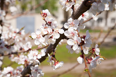 Similar image 7685234