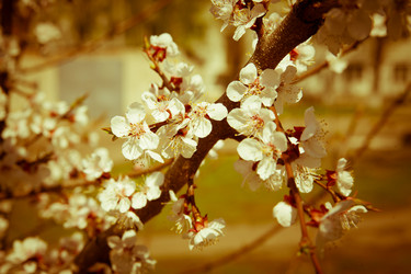 Similar image 7685236