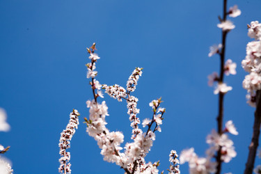 Similar image 7685237