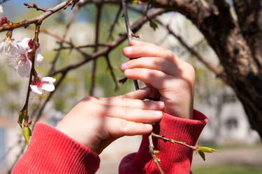 Similar image 7685243