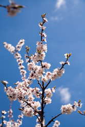 Similar image 7685244