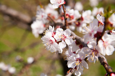 Similar image 7685245