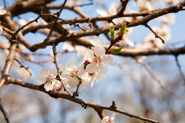 Similar image 7685247