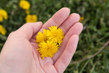 Similar image 7685250