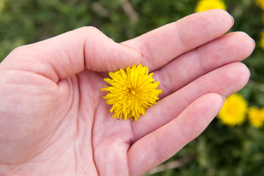 Similar image 7685251