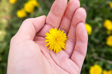 Similar image 7685252