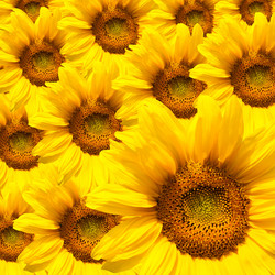 Similar image 7685258