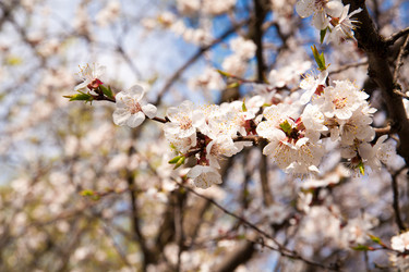 Similar image 7685267