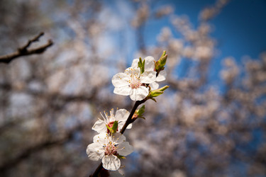 Similar image 7685269