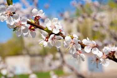 Similar image 7685270