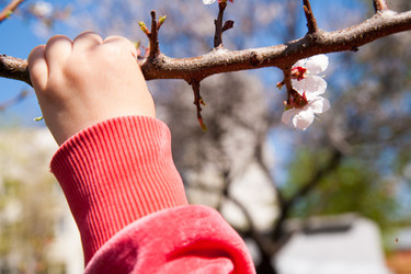 Similar image 7685271