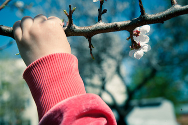 Similar image 7685272