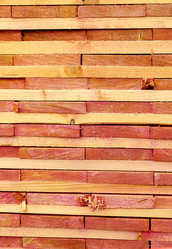 Similar image 7685371