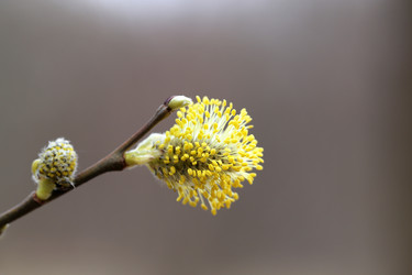 Similar image 7685396