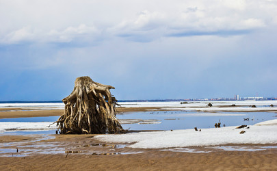 Similar image 7685615