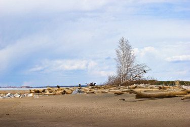 Similar image 7685617