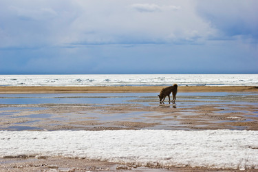 Similar image 7685618