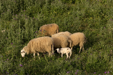 Similar image 7685634