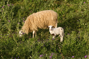 Similar image 7685635