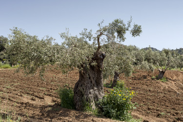 Similar image 7685636