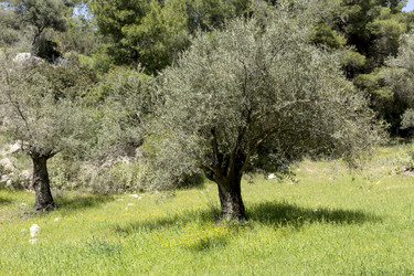 Similar image 7685637