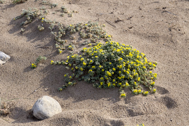 Similar image 7685640