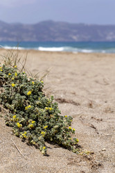 Similar image 7685642