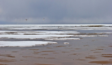 Similar image 7685644