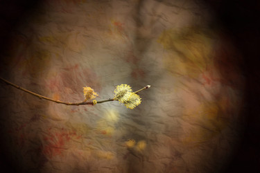 Similar image 7685673