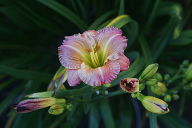 Similar image 7685699