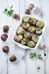 Similar image 7686374