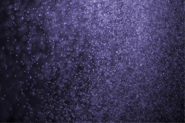 Similar image 7686551