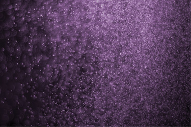 Similar image 7686570