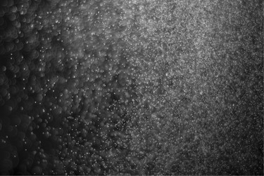 Similar image 7686604