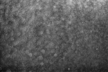 Similar image 7686616