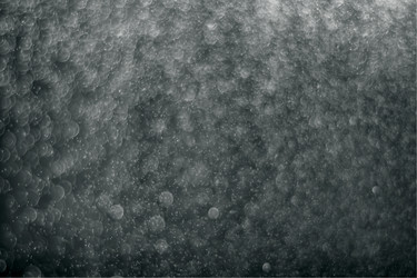 Similar image 7686621