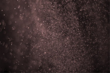 Similar image 7686637