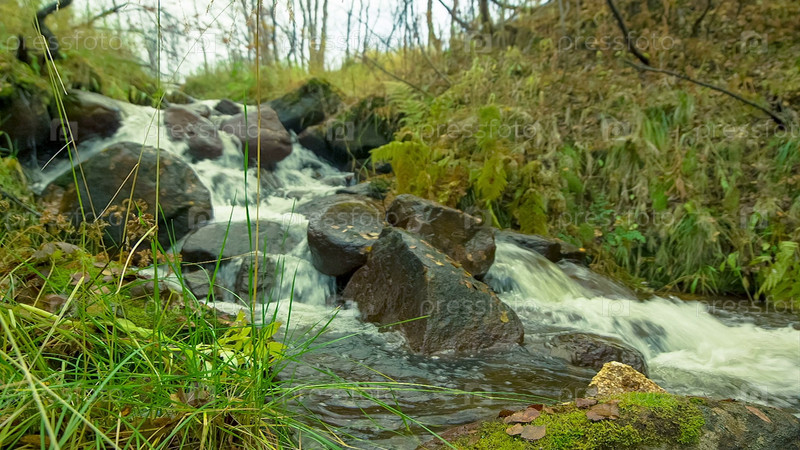 Что значит имя Риан: тайна, характер и судьба человека с редким именем