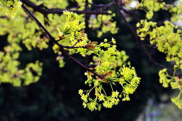 Similar image 7688705