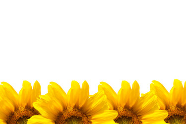 Similar image 7688708