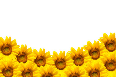 Similar image 7688709